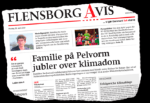 Unge i Tyskland jubler over dom om klimabeskyttelse