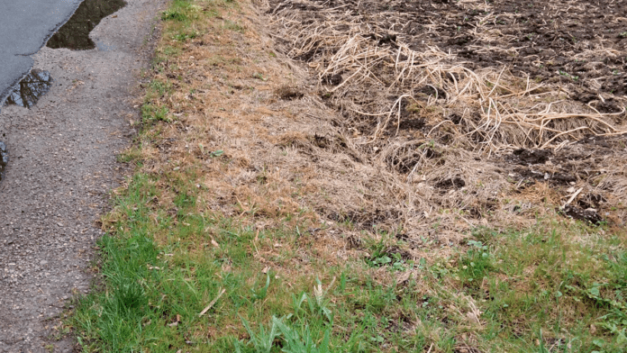 agro Roundup ved Ravnskoven maj 2021