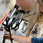 agro ko malkemaskine