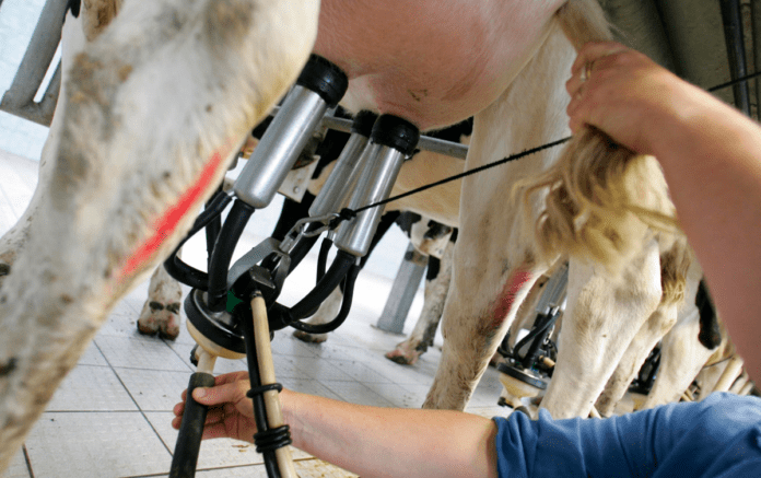 agro ko malkemaskine