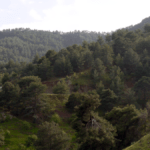 Cypern natur bjerge
