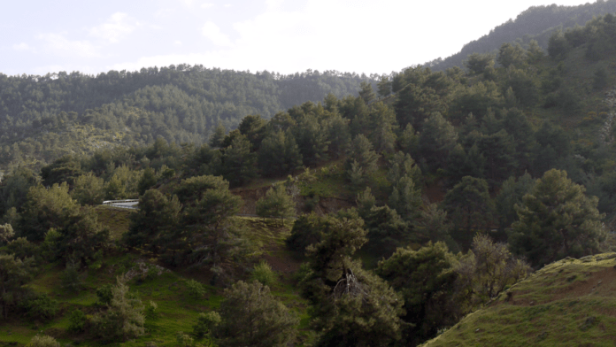 Cypern natur bjerge