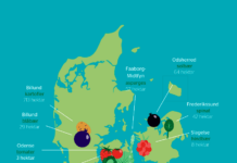 Slagelse Kommune har Danmarks største areal med hindbær
