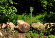 Godsejer modsætter sig planer om at forny skiltene på naturstier i Odder Kommune