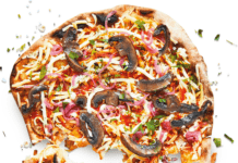 NorthSide festival dropper kødet og bliver plantebaseret