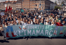 Spørg kandidaterne: Tom snak eller reel klimahandling?