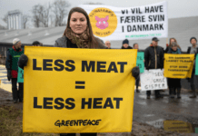 Flertal i rød blok for klimaafgift på landbruget med nyt udspil fra S