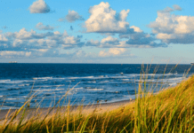 Dumpekarakter til regeringens havplan