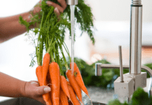 Arealet med økologiske grøntsager er mangedoblet på få år