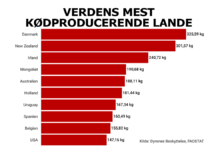 Danmark belastes af verdens største kødindustri