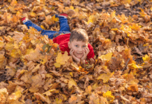 Hvis vi lod haveaffaldet ligge, kunne vi lagre 600.000 tons CO2 om året