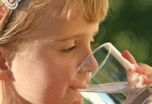 Naturfredningsforening: Rød bloks udspil kan redde fremtidens drikkevand