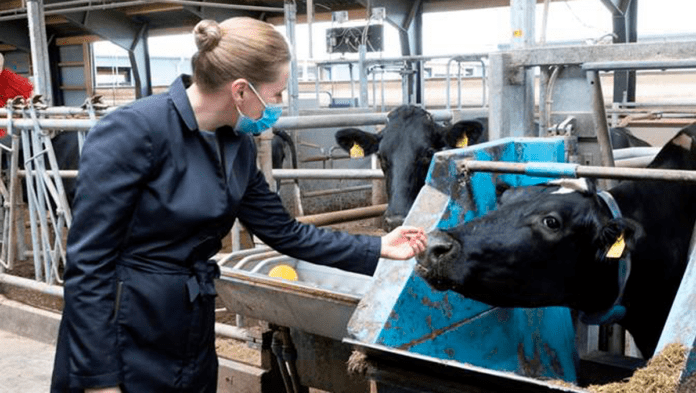 Mette Frederiksen-paa-besoeg-paa-nationalt-center-for-foedevarer-og-jordbrug-i-foulum