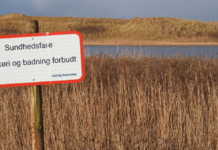 Danmark og fire andre EU-lande klar til at forbyde PFAS