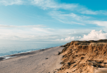 Forbyd PFAS-kemikalierne nu, Magnus Heunicke