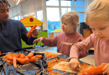 Børnehaver i Skanderborg halverer forbruget af oksekød