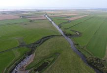 Kongeåen genoprettes med naturlige slyngninger