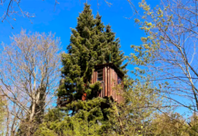 Sov seks meter oppe i et træ