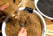 Forslag: Københavnerne skal have plantebaseret mad i alle kantiner og institutioner