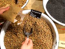 Forslag: Københavnerne skal have plantebaseret mad i alle kantiner og institutioner