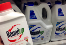 Intet flertal i EU for at give fornyet tilladelse til sprøjtegiften glyfosat