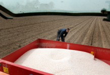 Drop den katastrofale landbrugspakke og red livet i havet