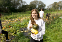 Højskoler får millioner til køkkenhaver, klimaparker og grønne kogebøger