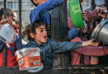 Humanitær katastrofe i Gaza