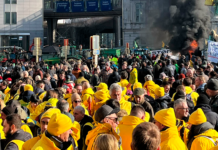 Vrede EU-landmænd i aktion mod flere grønne krav