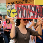 demo mod Monsanto