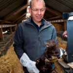 Martin-Merrild-m-mink-03