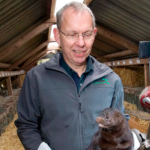 Martin Merrild m mink