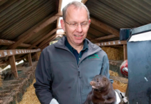 Minkbranchen fastsatte selv erstatningen