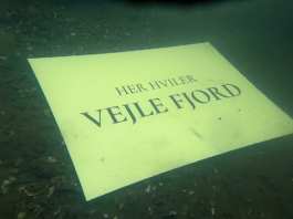 Før vi begraver Vejle Fjord