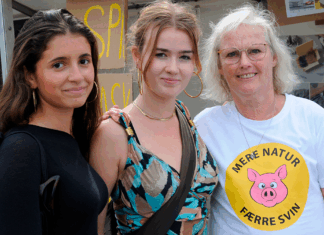 Nabo til en svinefabrik: Folk spørger, hvorfor vi lugter af gris