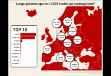 Danmark sætter ny rekord for eksport af levende svin – Dybt forkasteligt, siger Dyrenes Beskyttelse