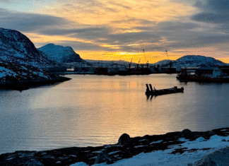 Havisen i Arktis smelter mere for hvert år