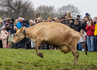 Økodag samlede 125.000 børn og voksne